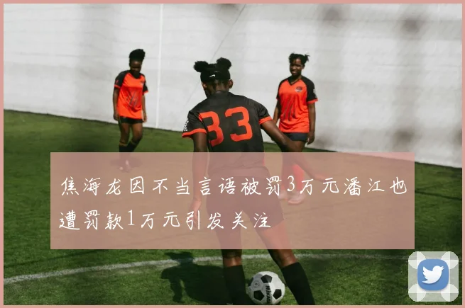 焦海龙因不当言语被罚3万元潘江也遭罚款1万元引发关注